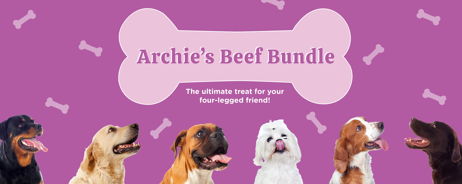 Archie's Dog Co. - Premium Dog Treats, Apparel, Bandanas, and Gifts
