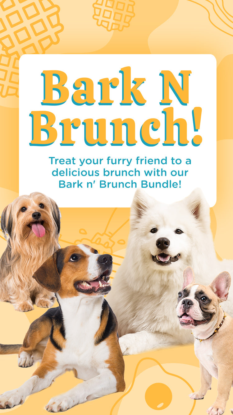 Archie's Dog Co. - Premium Dog Treats, Apparel, Bandanas, and Gifts