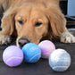 Archie's Tennis Balls (4 Pack)