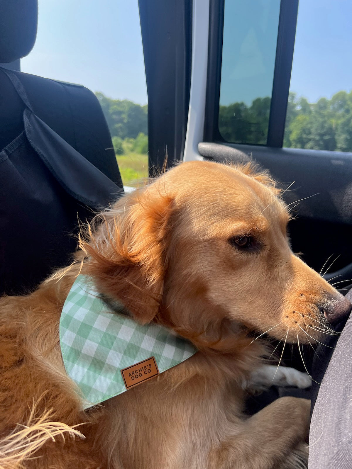 Green plaid shop dog bandana